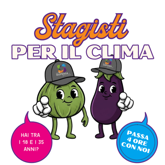 Stagisti per il clima: passa 4 ore con noi